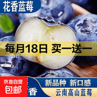 正宗云南高原新鲜采摘蓝莓新鲜水果孕妇宝宝辅食花香蓝莓90-115g 蓝莓小果单果15mm+ 高原蓝莓尝鲜90-115g*1盒装