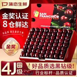 蒲恋 智利车厘子3斤(净重) 爽吃礼盒 巨无霸｜3J 30-32mm