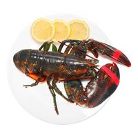 京鲜生【活鲜】鲜活波士顿龙虾 1kg 1只 盒装