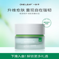 一叶子 白桦修护紧致面霜雪耳面霜补水保湿舒缓50g