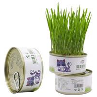 寿禾shouhe 猫草种子土培罐头轻松种植猫零食 猫草种子罐头 3罐装 