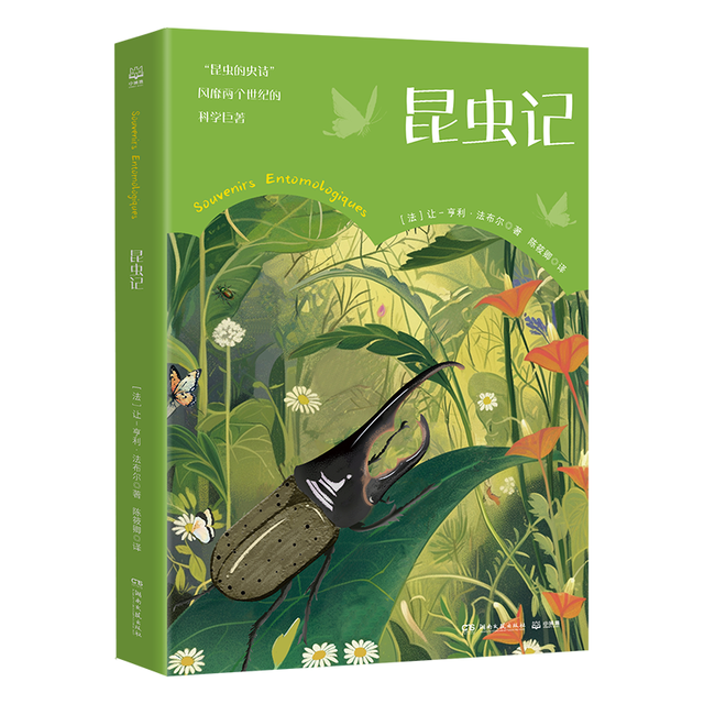 昆虫记课外书 童书 儿童文学 童年 故事 课外阅读  故事书 小 儿童读物 全套 三年级必读课外阅读