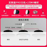 小米米家智能小爱Pro无线WiFi定制全屋智能吸顶蓝牙音响吊顶声控嵌入式音箱 PRO主机+2只V5音箱 官方标配