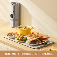 生活元素暖菜板解冻恒温快速化冰食物急速解冻器牛排解冻盘 典雅灰