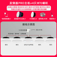 小米米家智能小爱Pro无线WiFi全屋智能吸顶蓝牙音响吊顶声控嵌入式音箱 PRO主机+4只W70音箱 标配