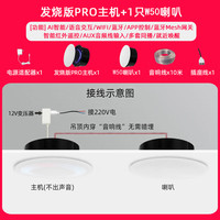 小米米家智能小爱Pro无线WiFi全屋智能吸顶蓝牙音响吊顶声控嵌入式音箱 PRO主机+1只V5音箱 标配
