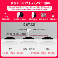 小米米家智能小爱Pro无线WiFi全屋智能吸顶蓝牙音响吊顶声控嵌入式音箱 PRO主机+2只W73音箱 标配