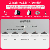 小米米家智能小爱Pro无线WiFi全屋智能吸顶蓝牙音响吊顶声控嵌入式音箱 PRO主机+4只V5音箱 标配