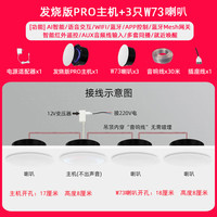 小米米家智能小爱Pro无线WiFi全屋智能吸顶蓝牙音响吊顶声控嵌入式音箱 PRO主机+3只W73音箱 标配