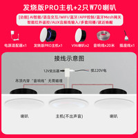 小米米家智能小爱Pro无线WiFi全屋智能吸顶蓝牙音响吊顶声控嵌入式音箱 PRO主机+2只W70音箱 标配