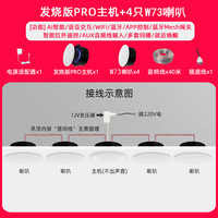 小米米家智能小爱Pro无线WiFi全屋智能吸顶蓝牙音响吊顶声控嵌入式音箱 PRO主机+4只W73音箱 标配