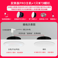 小米米家智能小爱Pro无线WiFi全屋智能吸顶蓝牙音响吊顶声控嵌入式音箱 PRO主机+1只W73音箱 标配