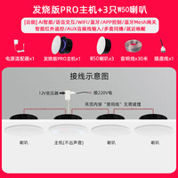 小米米家智能小爱Pro无线WiFi全屋智能吸顶蓝牙音响吊顶声控嵌入式音箱 PRO主机+3只V5音箱 标配