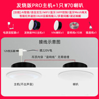 小米米家智能小爱Pro无线WiFi全屋智能吸顶蓝牙音响吊顶声控嵌入式音箱 PRO主机+1只W70音箱 标配