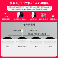 小米米家智能小爱Pro无线WiFi全屋智能吸顶蓝牙音响吊顶声控嵌入式音箱 PRO主机+3只W70音箱 标配