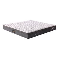 DeRUCCI 慕思 MCWI-096A 乳胶弹簧床垫 150*200*25cm