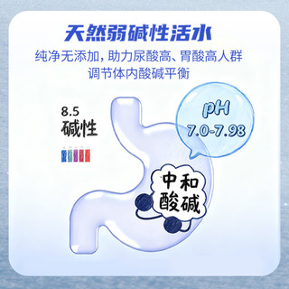 白山一云 长白山天然矿泉水 低钠弱碱 350mL×12瓶
