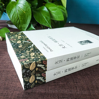  百年孤独+大卫科波菲尔+老人与海+复活 全套5册