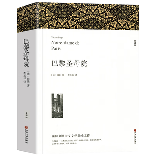  巴黎圣母院 雨果作品