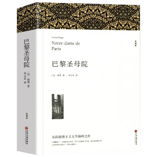  巴黎圣母院 雨果作品