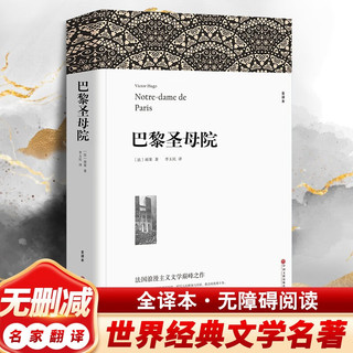  巴黎圣母院 雨果作品