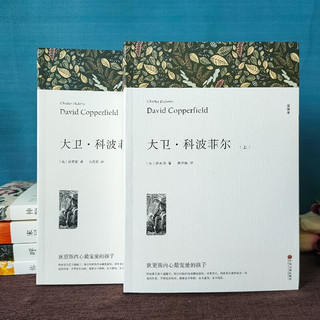  大卫科波菲尔 宋兆霖 全套2册 狄更斯作品