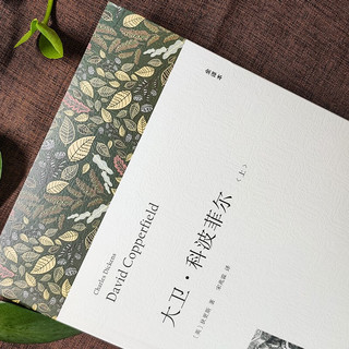  大卫科波菲尔 宋兆霖 全套2册 狄更斯作品