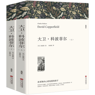  大卫科波菲尔 宋兆霖 全套2册 狄更斯作品