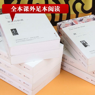  基督山伯爵+战争与和平+悲惨世界+飘+大卫科波菲尔