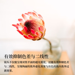  SIGMA/适马 恒定大光圈广角定焦 全画幅无反微单相机镜头+抗摔金环UV+滤镜套装