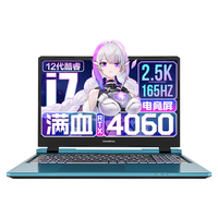 COLORFUL 七彩虹 隐星P15 十二代酷睿版 15.6英寸 游戏本 蓝色(酷睿i7-12650H、RTX 4060 8G、32GB、1TB SSD、2.5K、IPS、165Hz)