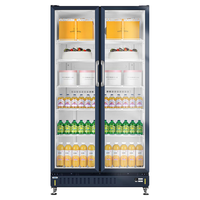 海尔（Haier）【限时85折立减】无霜风冷一级能耗商用立式展示柜冷藏保鲜柜玻璃门饮料柜冰柜超市啤酒陈列柜冰箱 双开门650升丨风冷无霜丨一级能效丨多层送风丨带灯