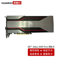 华为 国产Atlas 300T Pro AI 训练卡(Ascend 910ProB) PCI-E4.0 x16(FHFL)-32G HBM-300W双槽位Y10