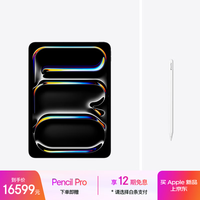 Apple iPad Pro11英寸 M5芯片 2025年新款平板电脑 1T纳米玻璃 eSIM版 深空黑色