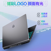 机械革命 极光16酷睿i5 16英寸游戏本笔记本电脑(i5-14450HX 16G 512G RTX4050 165hz)