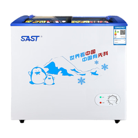 先科冰柜雪糕柜家用商用小型冷柜快速冷藏冷冻保鲜展示柜超市小卖部冰激凌省电速冻冷冻柜 SD/SC-178(带3个置物篮) 178L