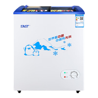 先科冰柜雪糕柜家用商用小型冷柜快速冷藏冷冻保鲜展示柜超市小卖部冰激凌省电速冻冷冻柜 SD/SC-128(带置物篮) 128L