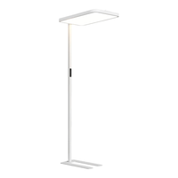 顾家（GUJIA）护眼大路灯普瑞全光谱儿童立式学习台灯书桌落地灯 南德认证护眼灯-基础款-100W-中性光