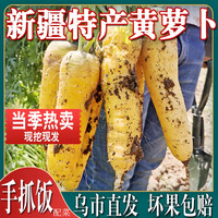 奇果出疆 Qiguo 奇果出疆 新疆糖心黄萝卜 5斤