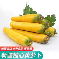 奇果出疆新疆直发糖心黄萝卜5斤手抓饭黄胡萝卜非有机生吃新鲜蔬菜甜水果 糖心黄萝卜5斤
