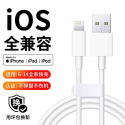 简雷 苹果MFi认证快充数据线 2m USB-C to Lightning 1条装