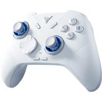 飞智 冰原狼4多模版 无线手柄 DW12C 类Xbox Switch Steam 游戏手柄