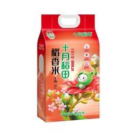 十月稻田 稻香米
