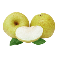 Mr.Seafood 京鲜生 砀山酥梨 一级 单果250-400g 2.5kg 礼盒装