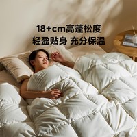 8H Y1 95白鹅绒抗菌羽绒被 200x230cm 白色