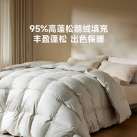 8H 冬被95白鹅绒进口鹅绒被抗菌羽绒秋冬被