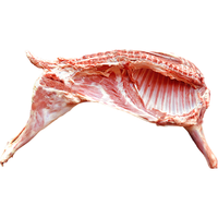 公羊 甘肃靖远小山羊羊羔_半只整只装 新鲜生羊肉 放养羊肉 12斤整只小山羊--现宰