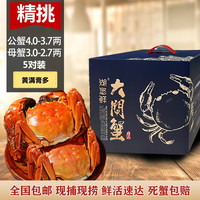 大闸蟹鲜活公母螃蟹对蟹生鲜水产礼盒10只装含绳工具苏州