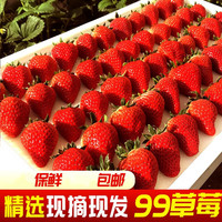 鲜姿 丹东99红颜奶油草莓 甄选2斤（单果20-30g）净重1.8斤