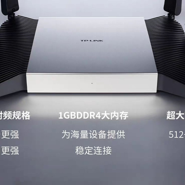 限地区：普联 限地方国补  普联（TP-LINK）7DR7290